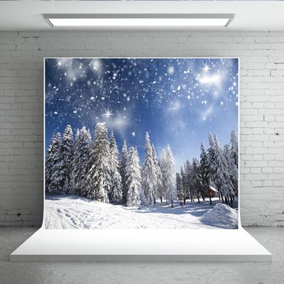 10x10ft Winter Forest Backdrop Christmas Wonderland Christmas Photography Portrait Photo Studio Background for Newborn Baby Photography Backdrops