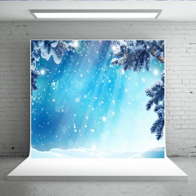 10X10ft Winter Outdoor Snow Scene Photography Background Pine Branches Christmas Wonderland Photo Background Portrait Photography Props Backdrops