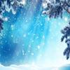 10X10ft Winter Outdoor Snow Scene Photography Background Pine Branches Christmas Wonderland Photo Background Portrait Photography Props Backdrops view 2