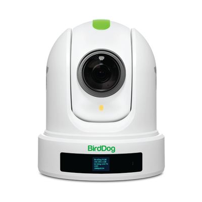 BirdDog Eyes P110 1080p Full NDI PTZ Camera (White) BDP110W