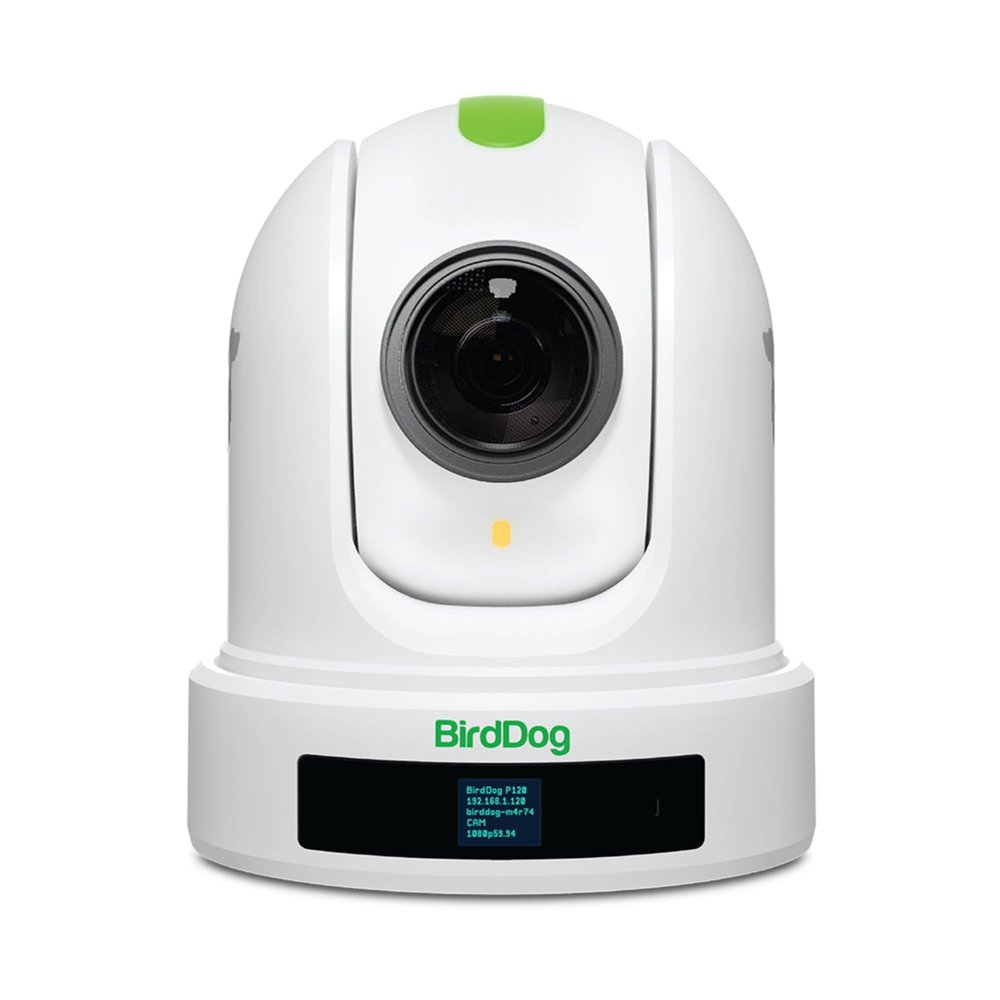 BirdDog Eyes P110 1080p Full NDI PTZ Camera (White) BDP110W