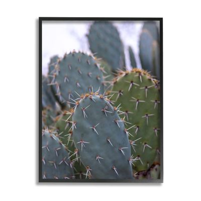 Stupell Industries Prickly Cactus Thorns Close Up Photography Desert Vegetation, Design by Jeff Poe Photography
