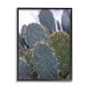 Stupell Industries Prickly Cactus Thorns Close Up Photography Desert Vegetation, Design by Jeff Poe Photography view 1