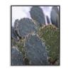Prickly Cactus Thorns Desert, 11 x 14 Inch Framed Gicle Print view 1