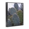 Prickly Cactus Thorns Desert, 11 x 14 Inch Framed Gicle Print view 2