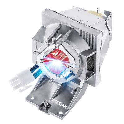COOBAN RLC-117 OEM Projector Lamp Bulb with Housing for Viewsonic PG705HD PG705WU PX727-4K PX747-4K Replacement Lamp