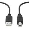Dysead 6ft Ethernet Connecting Cable Cord for Biometric Fingerprint Attendance Time Clock Nice C500T C600U view 1