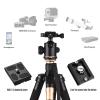Andoer Q999 158cm/62in Portable Photography Tripod Monopod Stand Aluminum Alloy 360Panorama Ball Head 10kg/22lbs Load Capacity with Carry Bag for DSLR Cameras Camcorders Smartphones view 3