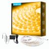 DAYBETTER Warm White LED Strip Light,16.4 ft Dimmable Bright Rope Light,3000K 12V LED Light Strip,Super Bright LED Tape Lights for Bedroom,Kitchen,Mirror,Home Decoration view 1