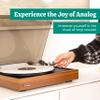 Electrohome Montrose Vinyl Record Player 2-Speed Belt-Drive Turntable, with Audio-Technica Stylus, Speed Control Motor, Built-in Preamp, Wood Plinth, Anti-resonant Platter, Auto-Stop (RR35) view 2