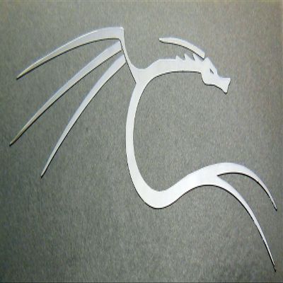 VATH backtrack/Kali Linux Dragon Metal Sticker 27 x 66mm [716]