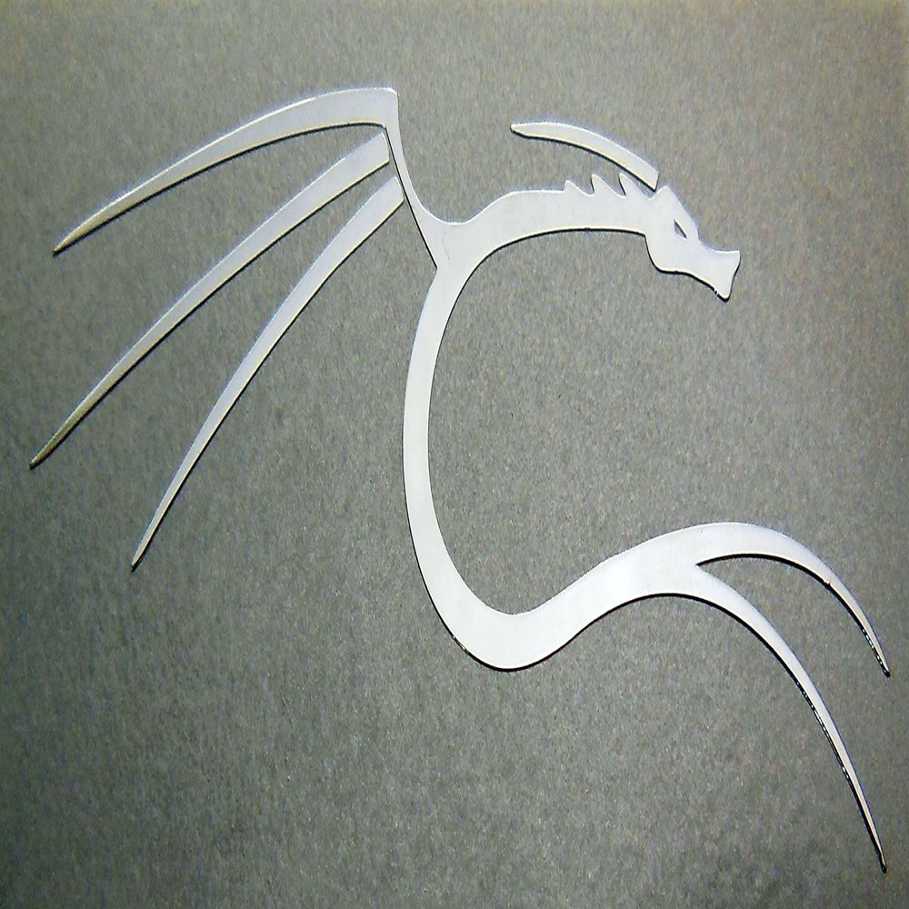 VATH backtrack/Kali Linux Dragon Metal Sticker 27 x 66mm [716]