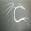 VATH backtrack/Kali Linux Dragon Metal Sticker 27 x 66mm [716] view 1