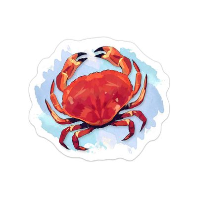 2 Pack Crab Watercolor Ocean Beach Theme Printed Car Decal, Tumbler Decal, Laptop Sticker, Waterproof