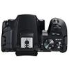 Canon EOS 250D (Rebel Sl3) DSLR Camera Body Only (No Lens) + 32GB Memory + Case + Tripod (20pc Bundle) (Renewed) view 4