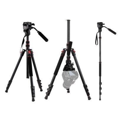 Andoer Professional Portable Aluminum Camera Tripod Stand Monopod 200cm/78.7inch 4-Section Adjustable 8KG Payload with 3-Way Hydraumatic Pan Tilt Head Carrying Pouch for DSLR SLR Camera Travel