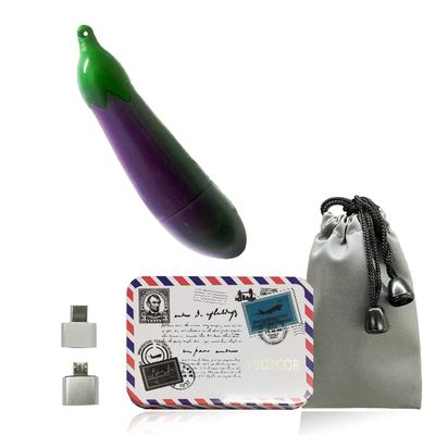 Cartoon USB 2.0 Memory Stick USB Flash Drive Fashion Pen Thumb Pendrive U Disk Drive Eggplant 32GB