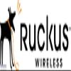 Ruckus Wireless - 10G-SFPP-TWX-P-0501 - Brocade 10 GBE SFP+ Direct-Attached Passive Copper Cable, 5 m, 1-Pack. - 16.40 view 1