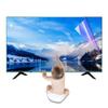 Anti Glare Screen Protector 32-75inch Anti Blue Light/Anti UV Monitor/TV Screen Frosted Film Anti-Radiation Rate Up to 90%, Reduce Visual Fatigue/A / 75 Inches 1645x930 mm view 1