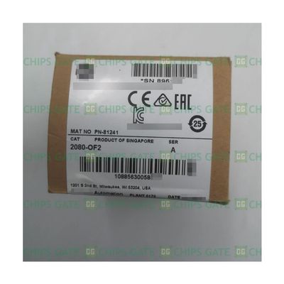 New 2 Point Analog Output Plug-in 2080-OF2 New Factory Sealed