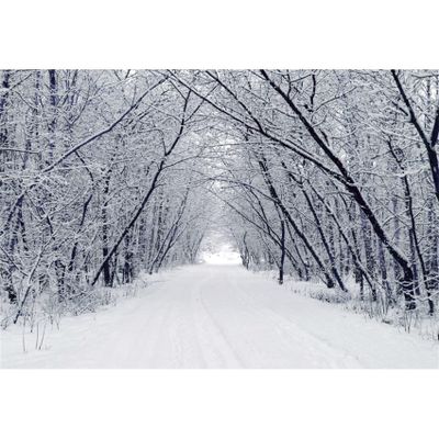 Renaiss 10x8ft Snowscape Forest Path Photo Backdrop Vinyl Snow Ice Tree Road Photography Backdground Winter Scenery Christmas New Year Party Decorations Birthday Wedding Photo Studio Booth Props