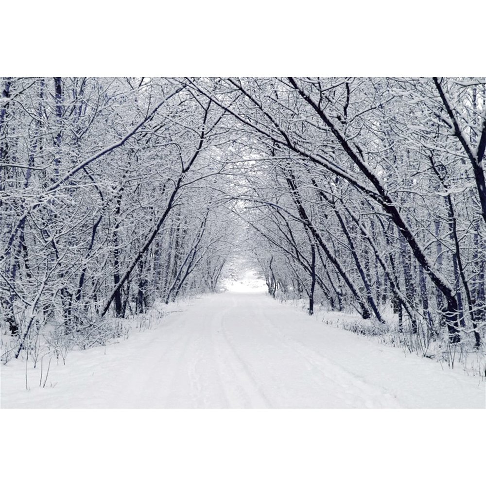 Renaiss 10x8ft Snowscape Forest Path Photo Backdrop Vinyl Snow Ice Tree Road Photography Backdground Winter Scenery Christmas New Year Party Decorations Birthday Wedding Photo Studio Booth Props