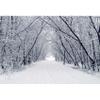 Renaiss 10x8ft Snowscape Forest Path Photo Backdrop Vinyl Snow Ice Tree Road Photography Backdground Winter Scenery Christmas New Year Party Decorations Birthday Wedding Photo Studio Booth Props