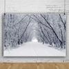 Renaiss 10x8ft Snowscape Forest Path Photo Backdrop Vinyl Snow Ice Tree Road Photography Backdground Winter Scenery Christmas New Year Party Decorations Birthday Wedding Photo Studio Booth Props view 2
