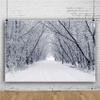 Renaiss 10x8ft Snowscape Forest Path Photo Backdrop Vinyl Snow Ice Tree Road Photography Backdground Winter Scenery Christmas New Year Party Decorations Birthday Wedding Photo Studio Booth Props view 3