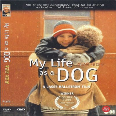 My Life As A Dog (1985) DVD Lasse Hallstrm/Anton Glanzelius