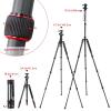 Andoer TTT-008 200cm/78.7in Adjustable Carbon Fiber Camera Tripod Stand Monopod 12KG Payload with Quick Release Ball Head with Carry Bag view 4