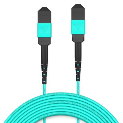 AMPCOM MPO to MPO Trunk Cable 50/125m Multimode OM3-300 (8 Fiber, MPO to MPO Female, Type B, LSZH/Riser, UPC, Aqua) 10m (32ft)