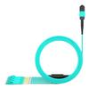 AMPCOM MPO to LC Breakout Cable 50/125m Multimode OM3-300(8 Fiber, MPO to LC, Type B, LSZH/Riser, UPC, Aqua) 10m (32ft) view 2