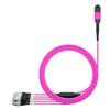 AMPCOM MPO to FC Breakout Cable 50/125m Multimode OM4(8 Fiber, MPO to FC, Type B, LSZH/Riser, UPC, Magenta) 5m (16ft) view 1