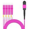 AMPCOM MPO to LC Breakout Cable 50/125m Multimode OM4(8 Fiber, MPO to LC, Type B, LSZH/Riser, UPC, Magenta) 30m (98.4ft) view 1