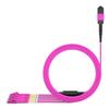 AMPCOM MPO to LC Breakout Cable 50/125m Multimode OM4(8 Fiber, MPO to LC, Type B, LSZH/Riser, UPC, Magenta) 30m (98.4ft) view 2