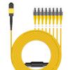 AMPCOM MPO to FC Breakout Cable 9/125m Singlemode OS1/OS2(8 Fiber, MPO to FC, Type B, LSZH/Riser, UPC, Yellow) 25m (82ft) view 2