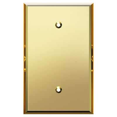 LIDER Reflective Blank Device Wall Plate, Oversized 1-Gang, Acrylic