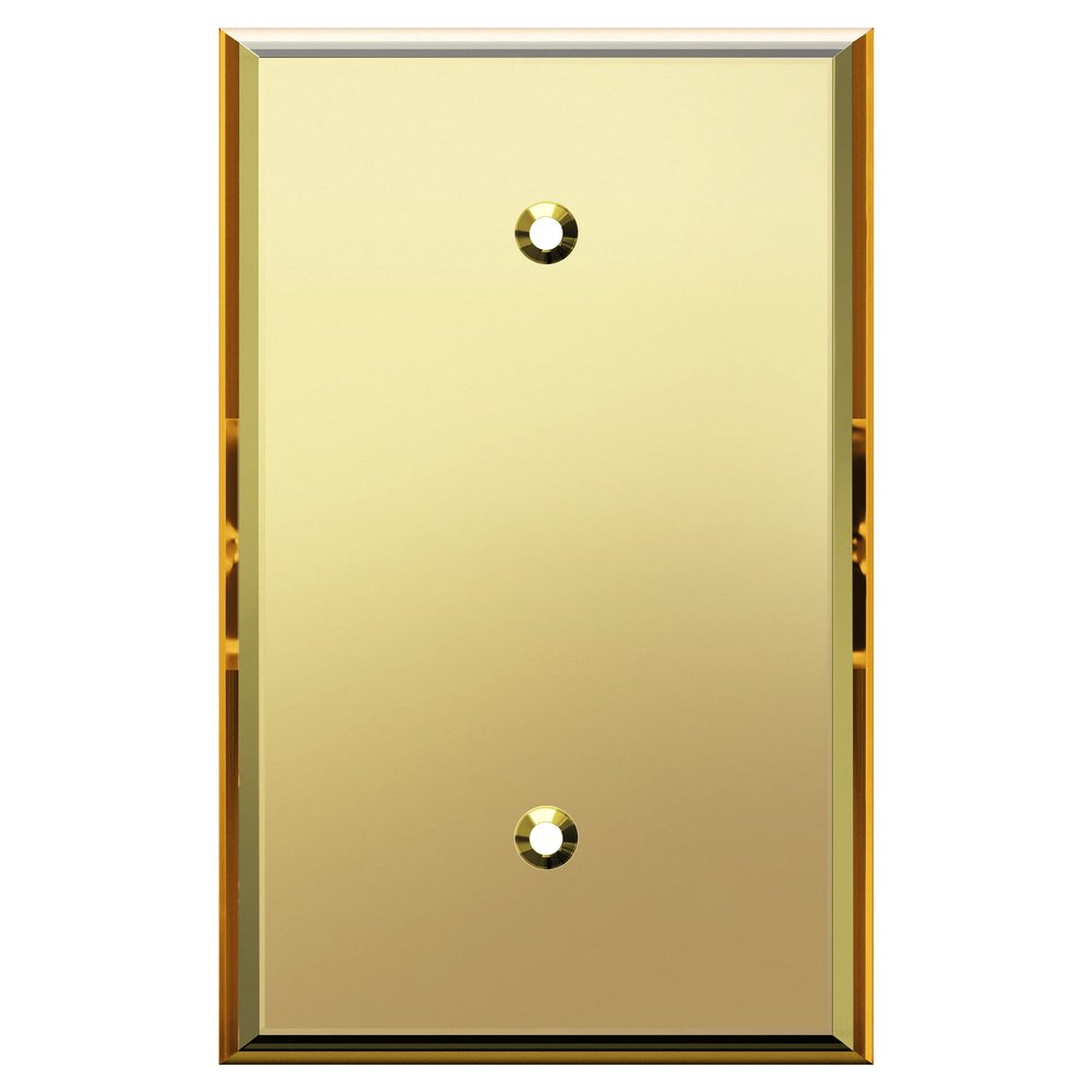 LIDER Reflective Blank Device Wall Plate, Oversized 1-Gang, Acrylic
