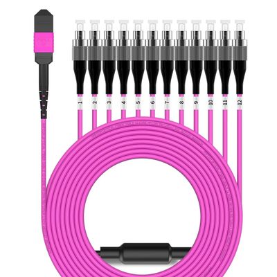 AMPCOM MPO to FC Breakout Cable 50/125m Multimode OM4(12 Fiber, MPO to FC, Type B, LSZH/Riser, UPC, Magenta) 15m (49ft)