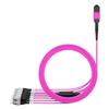 AMPCOM MPO to FC Breakout Cable 50/125m Multimode OM4(12 Fiber, MPO to FC, Type B, LSZH/Riser, UPC, Magenta) 15m (49ft) view 2