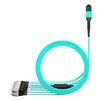 AMPCOM MPO to FC Breakout Cable 50/125m Multimode OM3-300(12 Fiber, MPO to FC, Type B, LSZH/Riser, UPC, Aqua) 50m (164ft) view 2