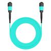 AMPCOM MPO to MPO Trunk Cable 50/125m Multimode OM3-300 (24 Fiber, MPO to MPO Female, Type B, LSZH/Riser, UPC, Aqua) 1m (3ft) view 2