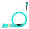 AMPCOM MPO to LC Breakout Cable 50/125m Multimode OM3-300(12 Fiber, MPO to LC, Type B, LSZH/Riser, UPC, Aqua) 1m (3ft) view 2