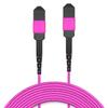 AMPCOM MPO to MPO Trunk Cable 50/125m Multimode OM4 (12 Fiber, MPO to MPO Female, Type B, LSZH/Riser, UPC, Magenta) 2m (6ft) view 1