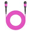 AMPCOM MPO to MPO Trunk Cable 50/125m Multimode OM4 (12 Fiber, MPO to MPO Female, Type B, LSZH/Riser, UPC, Magenta) 2m (6ft) view 2