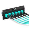 AMPCOM MPO to MPO Trunk Cable 50/125m Multimode OM3-300 (24 Fiber, MPO to MPO Female, Type B, LSZH/Riser, UPC, Aqua) 100m (330ft) view 3