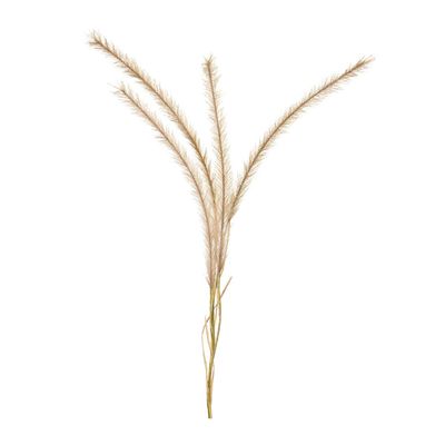 Melrose Set of 6 Polyester Fox Tail Stem with Brown Finish 85643DS