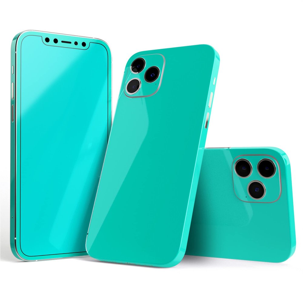 Design Skinz - Compatible with Apple iPhone X - Protective Vinyl Decal Skin Cover (Screen Trim & Back Glass Skin) - Solid Mint V2