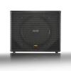 BMB CSW-115 1,000W 15" Professional Subwoofer (Single) view 1